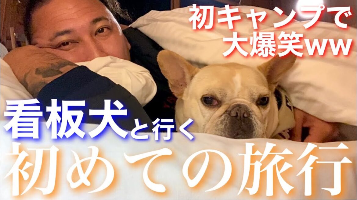 【永久保存版】犬舎の看板犬とキャンプに行ったら珍プレーの連続で大爆笑