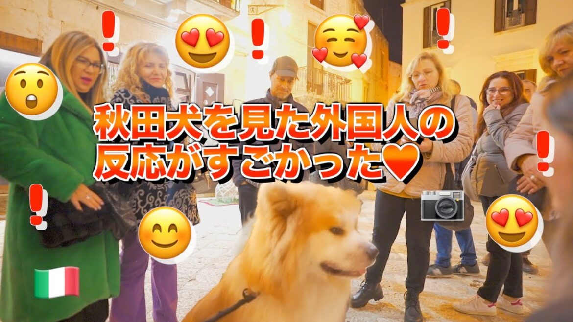What happens when we take a walk with Akita dog "SANGO" in Italy♪