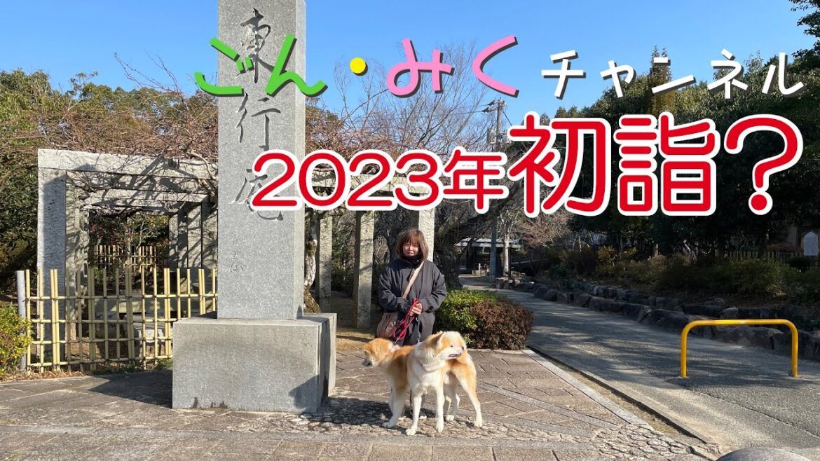2023年 初詣？ 秋田犬【今日の ごん☆みく】2023/01/01