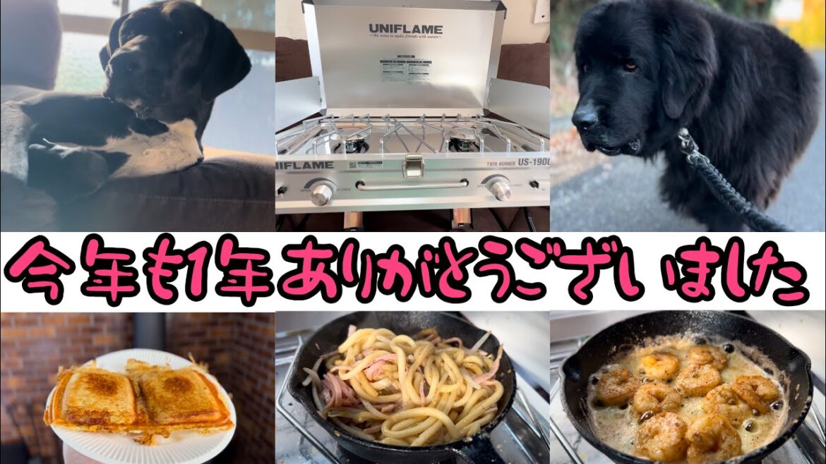 今年も1年ありがとうございました🙏 ニューファンドランドボス君 グレートデーンクィーンちゃん 超大型犬 大型犬 犬好き 猫好き 渡辺ボス ユニフレーム コロナ ホットサンド コンパクトバーナー