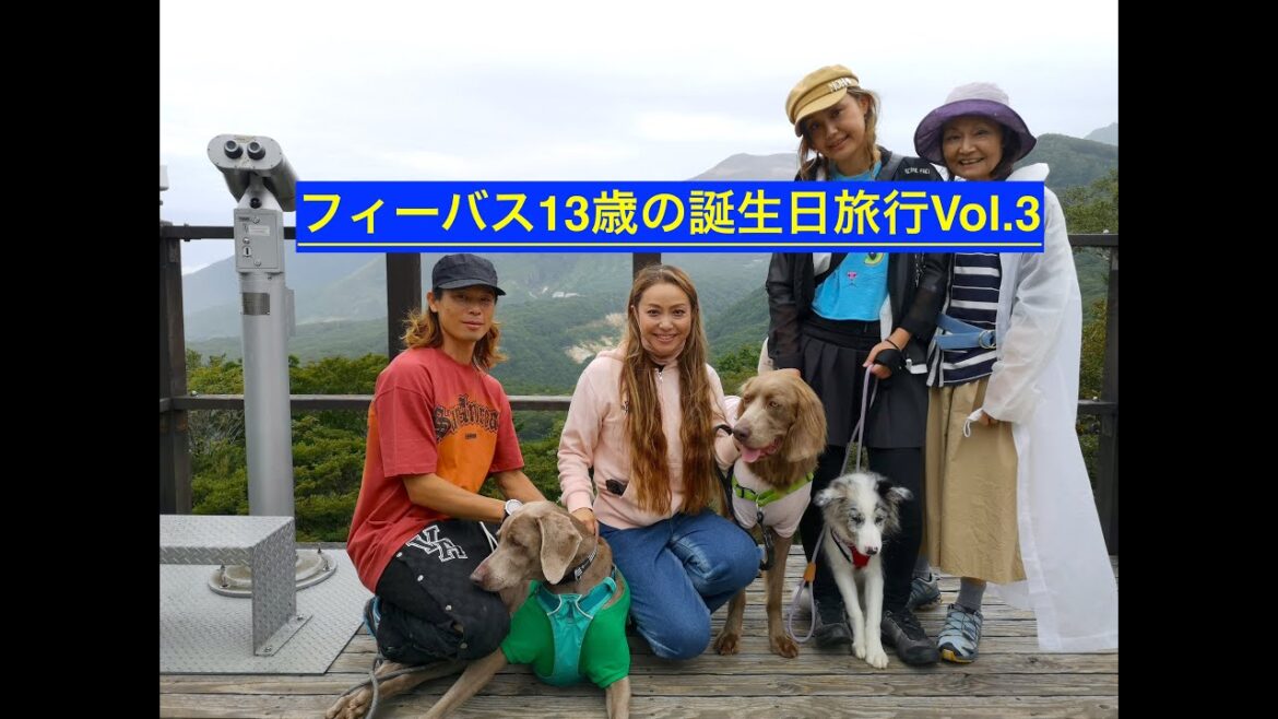 [ワイマラナーワイマるちん]フィーバス1誕生日旅行Vol.3
