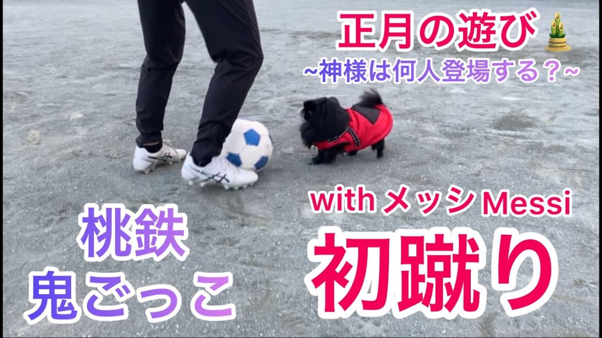 【初蹴り】神様は何人登場？桃太郎電鉄鬼ごっこ/ペキニーズはなちゃんVS Messiメッシ(HANA's famly)peki 犬