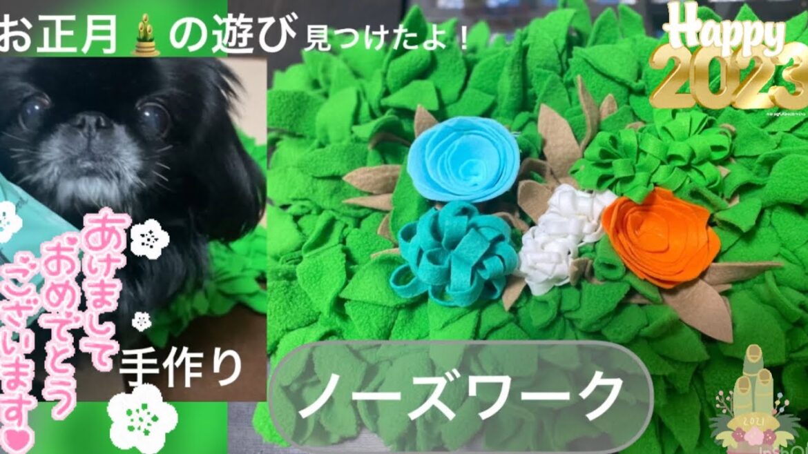 【お正月の遊び方】元保護犬ペキニーズにノーズワークを手作りしてみた【peki】【犬】NoseWork 【お正月の遊び方】元保護犬ペキニーズにノーズワークを手作りしてみた【peki】【犬】NoseWork
