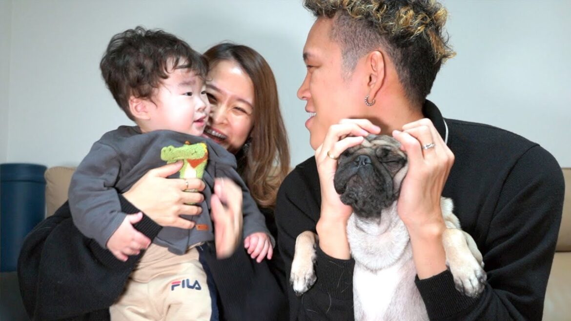 あけましておめでとうございます！新年のごあいさつ。【パグ2歳】