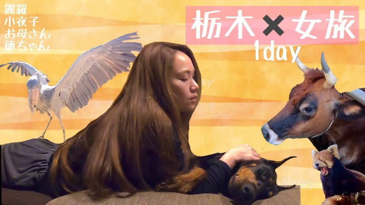 ドーベルマンと行く!栃木×女旅1day【Doberman】 ドーベルマンと行く!栃木×女旅1day【Doberman】