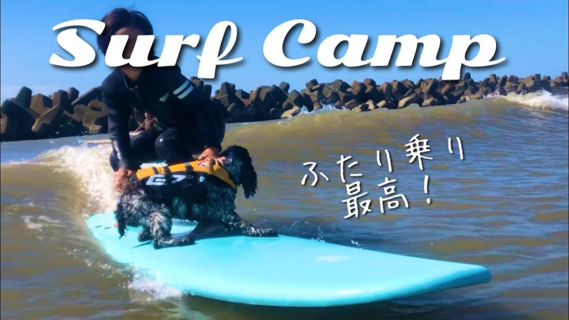 【ドッグサーフィン#19】サーフキャンプでレベルアップ！　イングリッシュコッカースパニエル「みみ」の気持ち