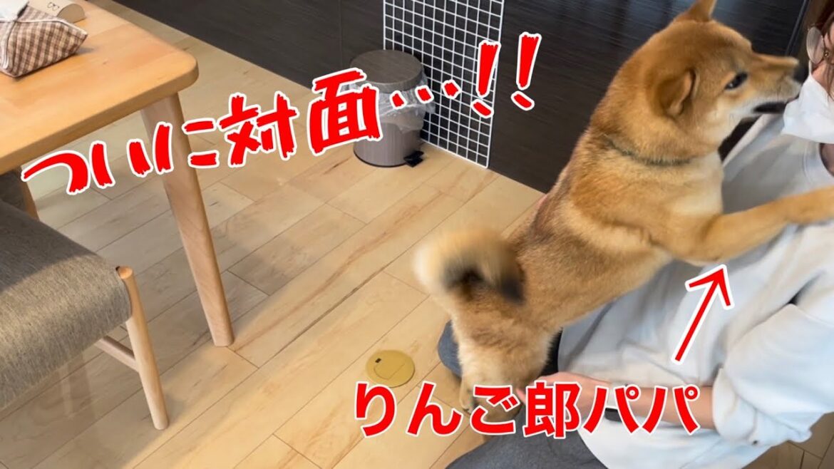 我が家にりんご郎パパが来てくれました