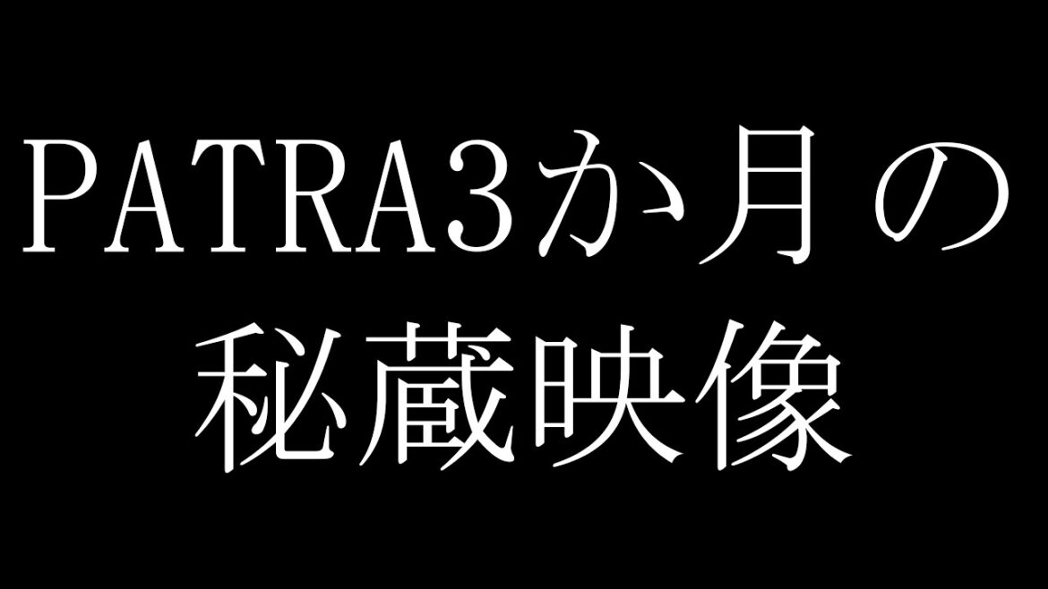 【驚愕】生後三か月のオールドイングリッシュシープドッグ（OES）が可愛すぎる