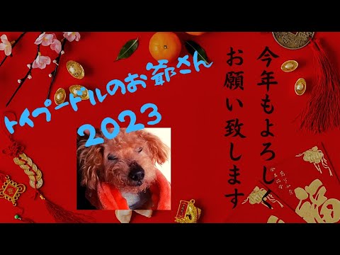 【ふらつく老犬の歩行の秘密兵器】室内でも外でも使えて、飼い主の腰も楽ちん♪ 【ふらつく老犬の歩行の秘密兵器】室内でも外でも使えて、飼い主の腰も楽ちん♪