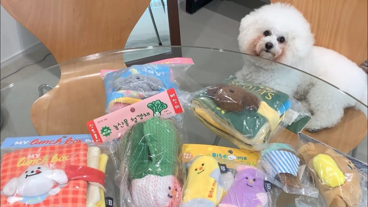 大人気ペット用品ブランドBITE MEが日本上陸！ノーズワークトイを紹介します