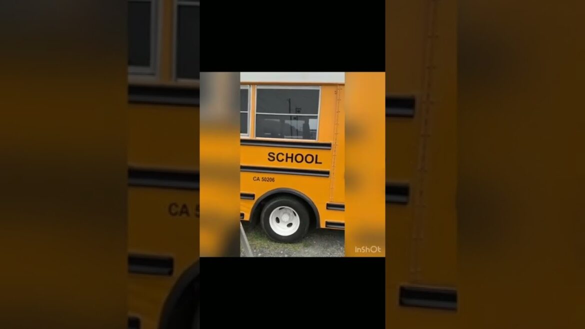 バス から降りる ボルゾイコンビがかっこよすぎる!!