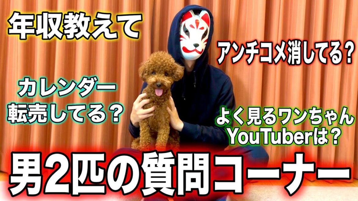 【なんでもOK】視聴者さんからの質問に答えまくる！【質問コーナー2023】
