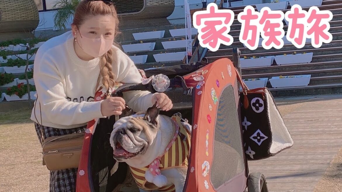 ブルドックじぇしかの楽しい淡路島旅行♪inノジマスコーラ ブルドックじぇしかの楽しい淡路島旅行♪inノジマスコーラ