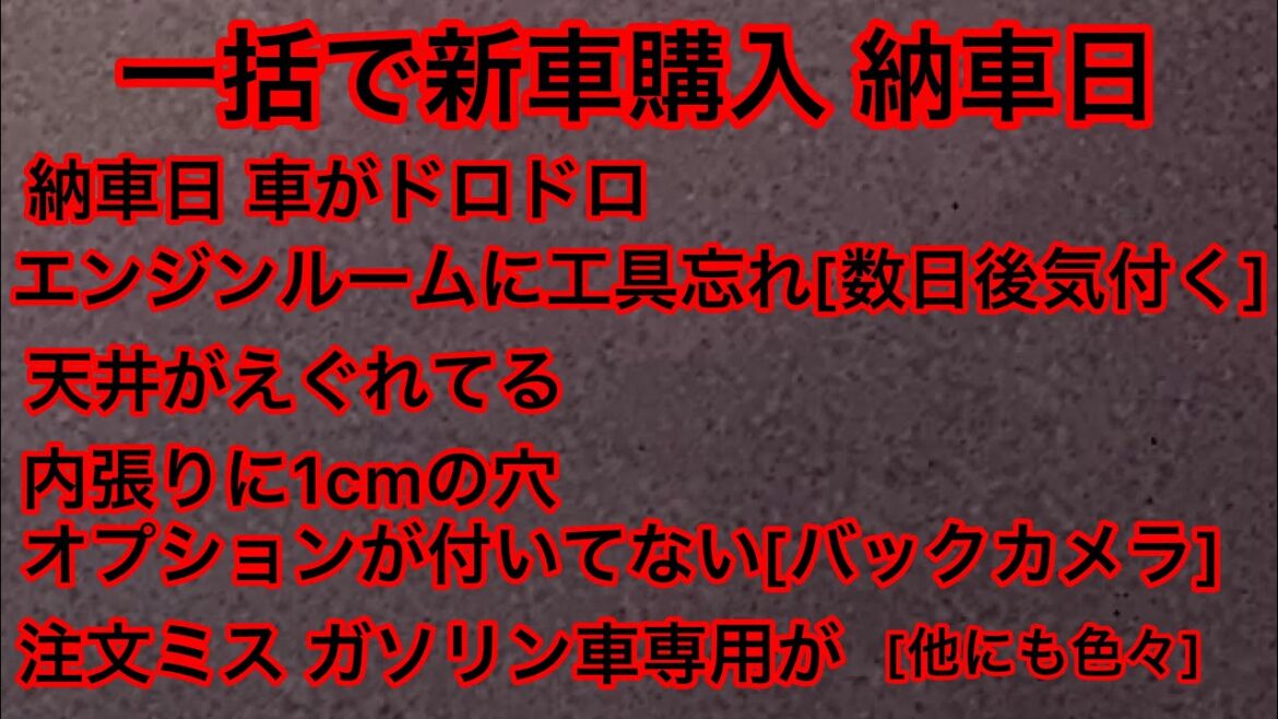 プロボックスハイブリッド納車 クソ過ぎた😭 超大型犬 ニューファンドランド ボス君 グレートデーン クィーンちゃん 悪徳 車屋