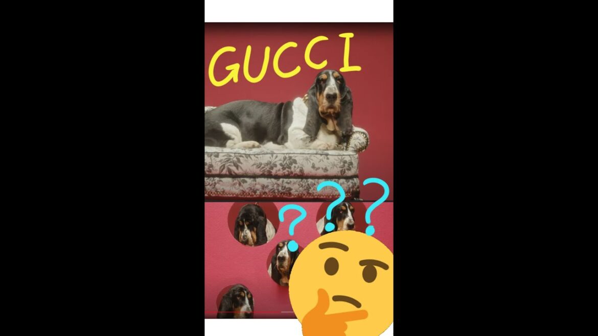 GUCCIのCMに物申す #Shorts