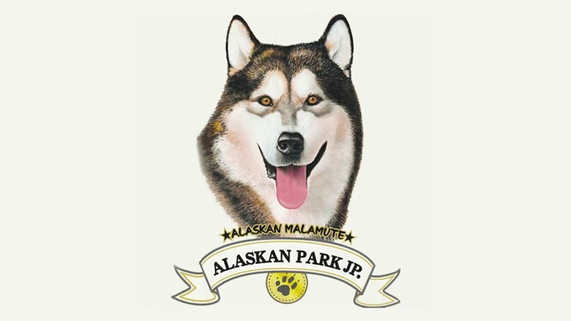 アラスカンマラミュート麦ちゃん・心ちゃん・ダグラスくんのご紹介