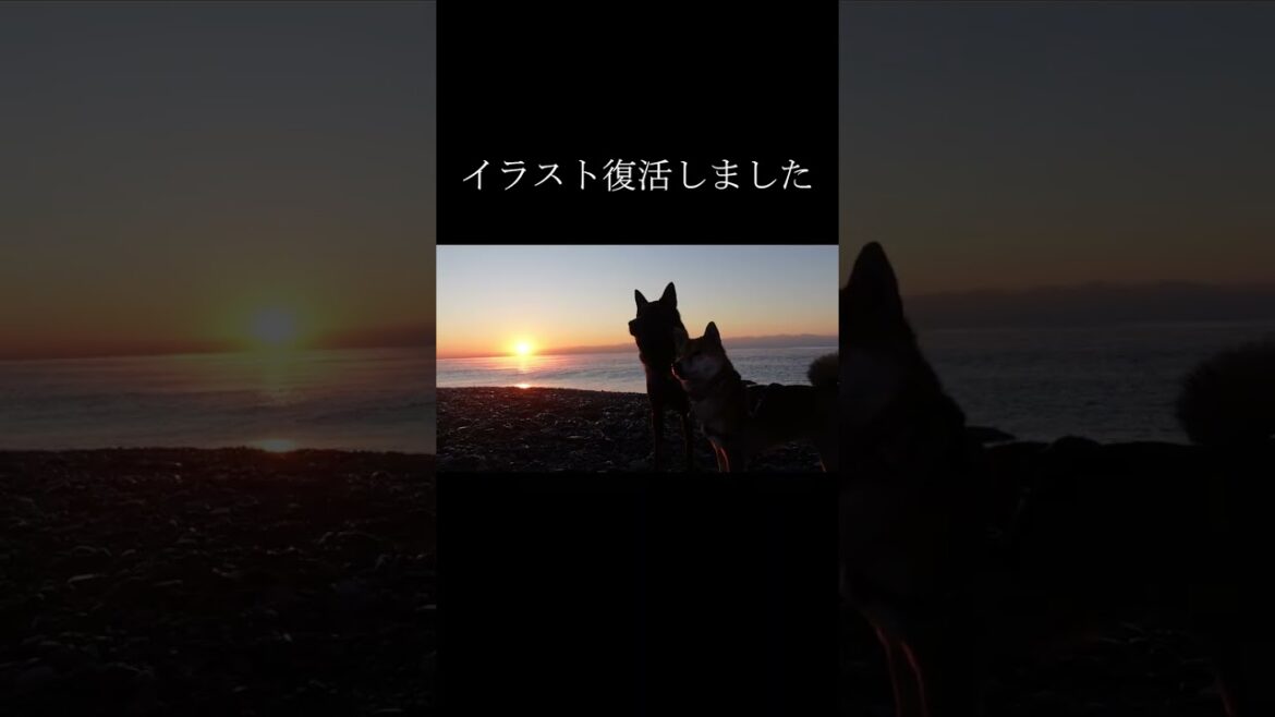 【イラスト】甲斐犬と柴犬を擬人化してみました #shorts