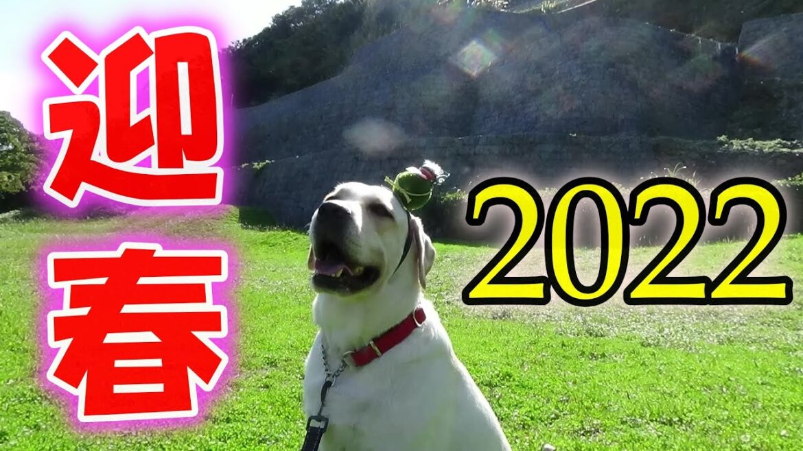 ☆2022年元日☆初日の出＆初散歩！～ラブラドールレトリーバー～