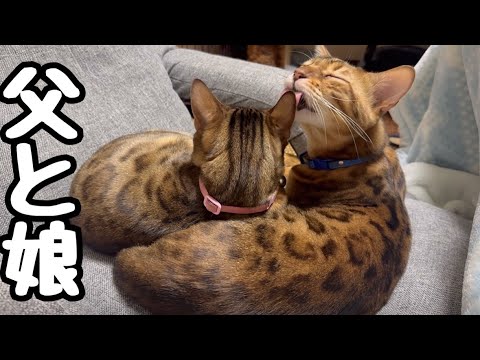 実家でもファザコン爆発させてるお嬢リン 実家でもファザコン爆発させてるお嬢リン