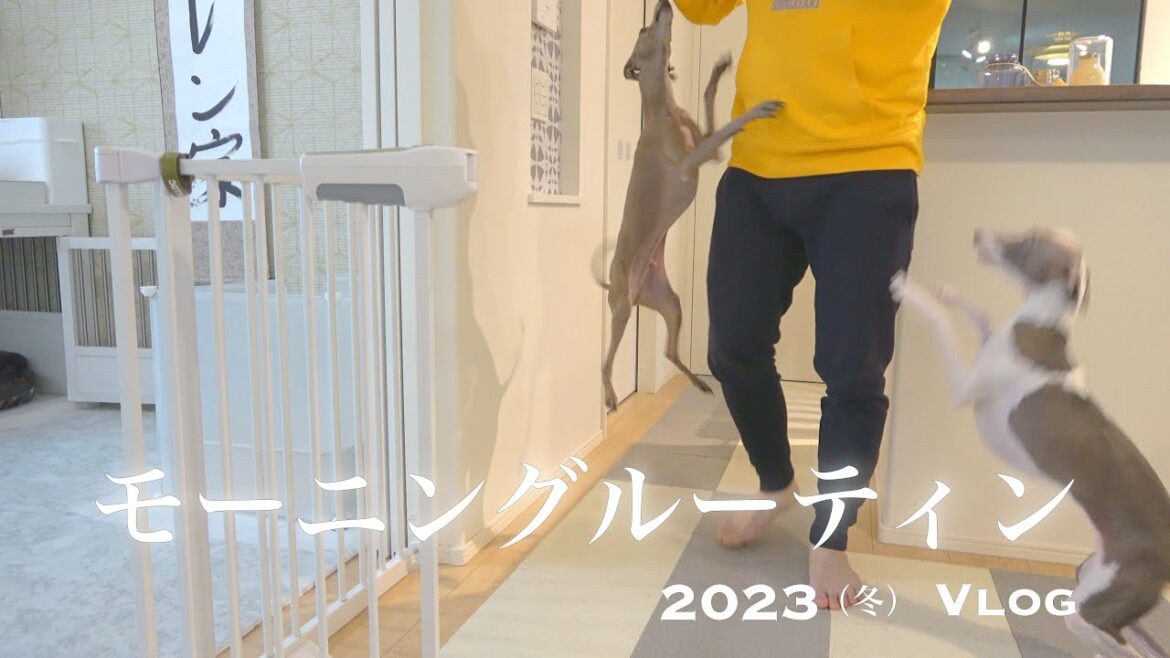 愛犬と暮らす冬の朝のリアルVlog【モーニングルーティン2023冬】【イタグレ】 愛犬と暮らす冬の朝のリアルVlog【モーニングルーティン2023冬】【イタグレ】