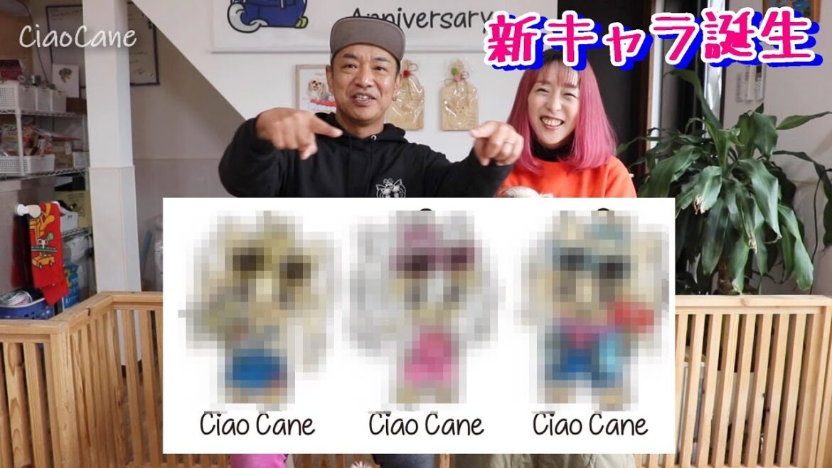 新キャラ誕生！それも3キャラ！【ヨークシャーテリア専門犬舎チャオカーネ】