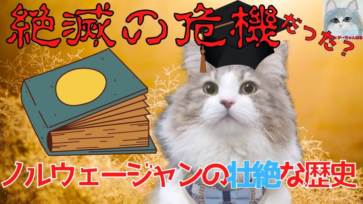 ノルウェージャンフォレストキャットの歴史ご紹介