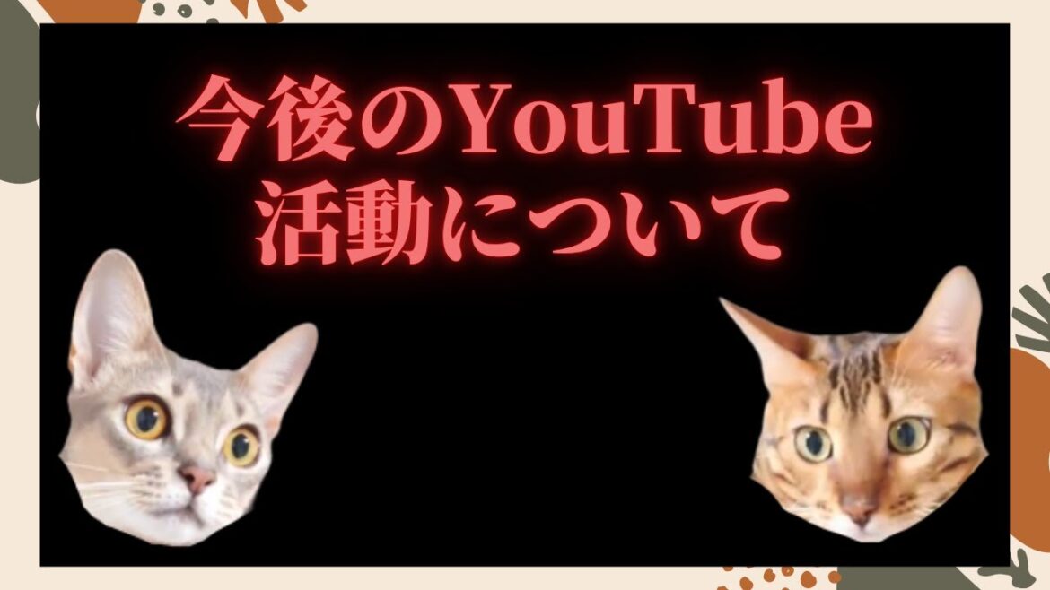 ご無沙汰しております（ベンガル猫とアビシニアン）BEST FUNNY CATS&KITTENS
