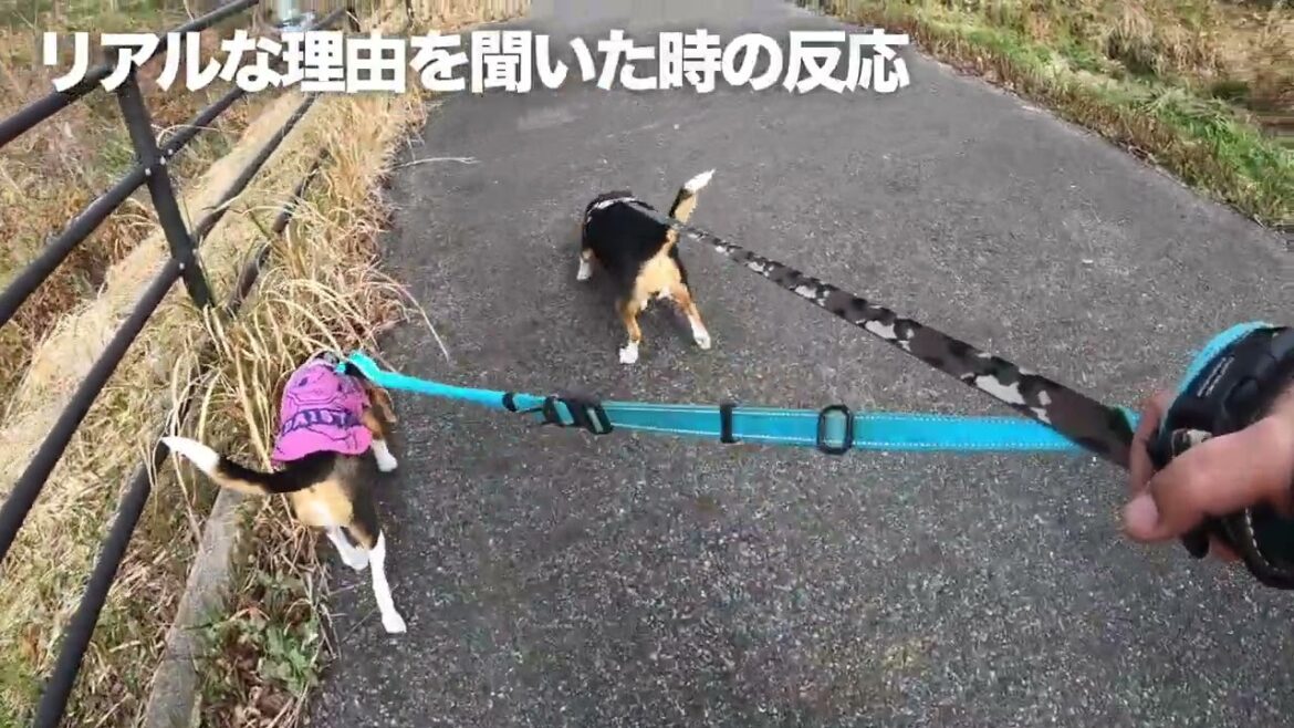 【悲報】みなさんに報告です