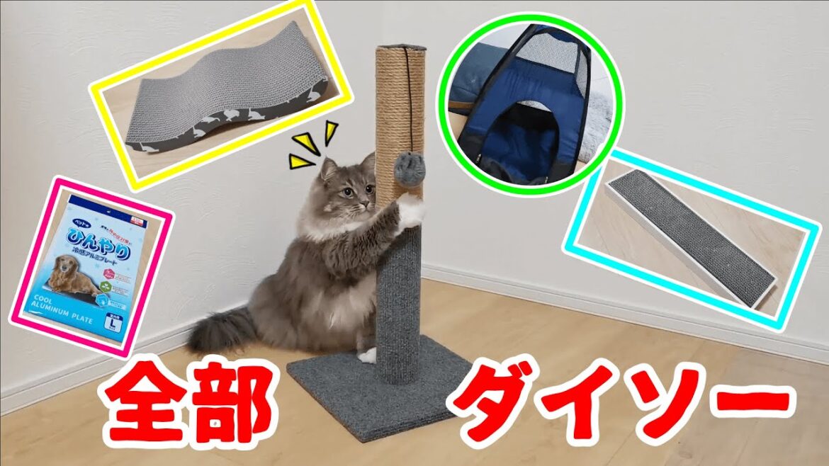 100円ショップダイソーが猫グッズの宝庫でした【サイベリアンのラフィ#176】