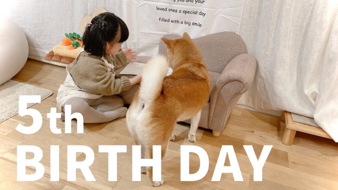 柴犬りんご郎 早いもので5歳になりました