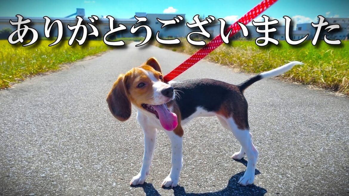【ご報告】今後の活動についてお知らせ