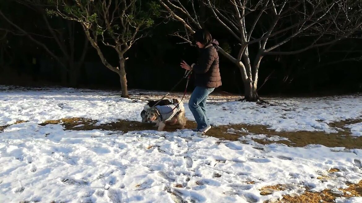 雪！！part3