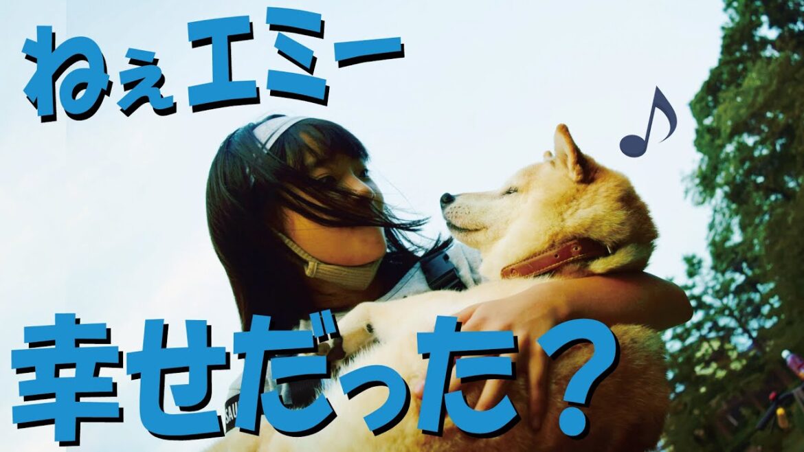 我が家の小さなシンデレラ天に召される【柴犬・甲斐犬】