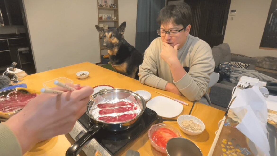 愛犬と一緒に初めての鹿肉パーティしたら、大失敗しましたｗ【ジャーマンシェパード】
