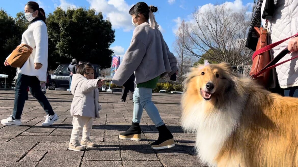 2022/12/18 初雪とフリマ