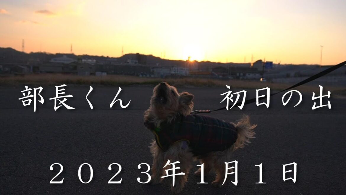 2023年1月1日綺麗な初日の出を部長と見て来ましたー！