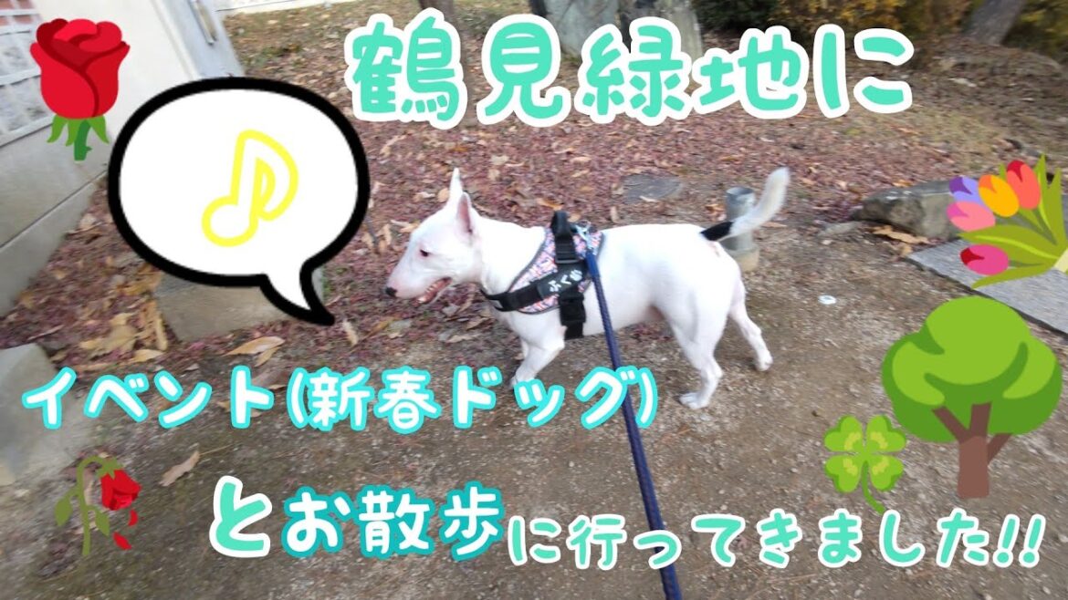 鶴見緑地のイベント(新春ドッグ)とお散歩に行ってきました
