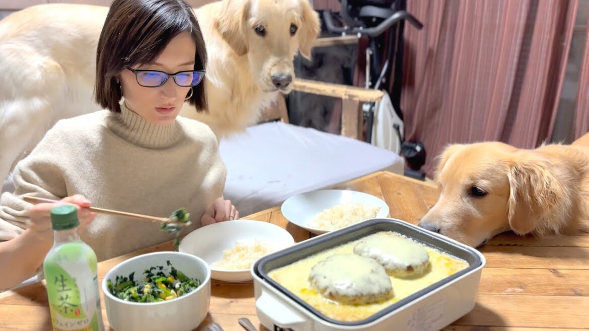 部屋中に漂うチーズの匂いで理性が崩壊寸前の愛犬達