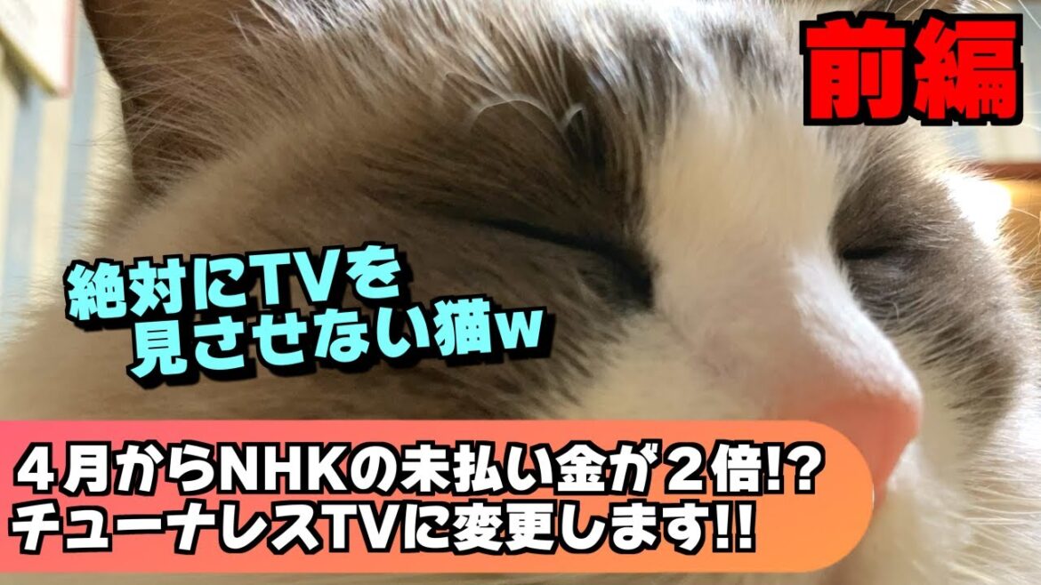 いつもラグドールが目の前で寝るのでTVが見えません(悲)今年の4月からNHKの未払いの割増金が2倍になるのでチューナーレスTVに買い替えようか(前編)【猫のナレーション】 いつもラグドールが目の前で寝るのでTVが見えません(悲)今年の4月からNHKの未払いの割増金が2倍になるのでチューナーレスTVに買い替えようか(前編)【猫のナレーション】