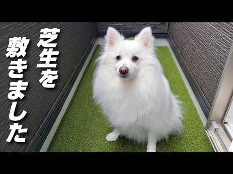 ベランダ改造! ベランダ改造!