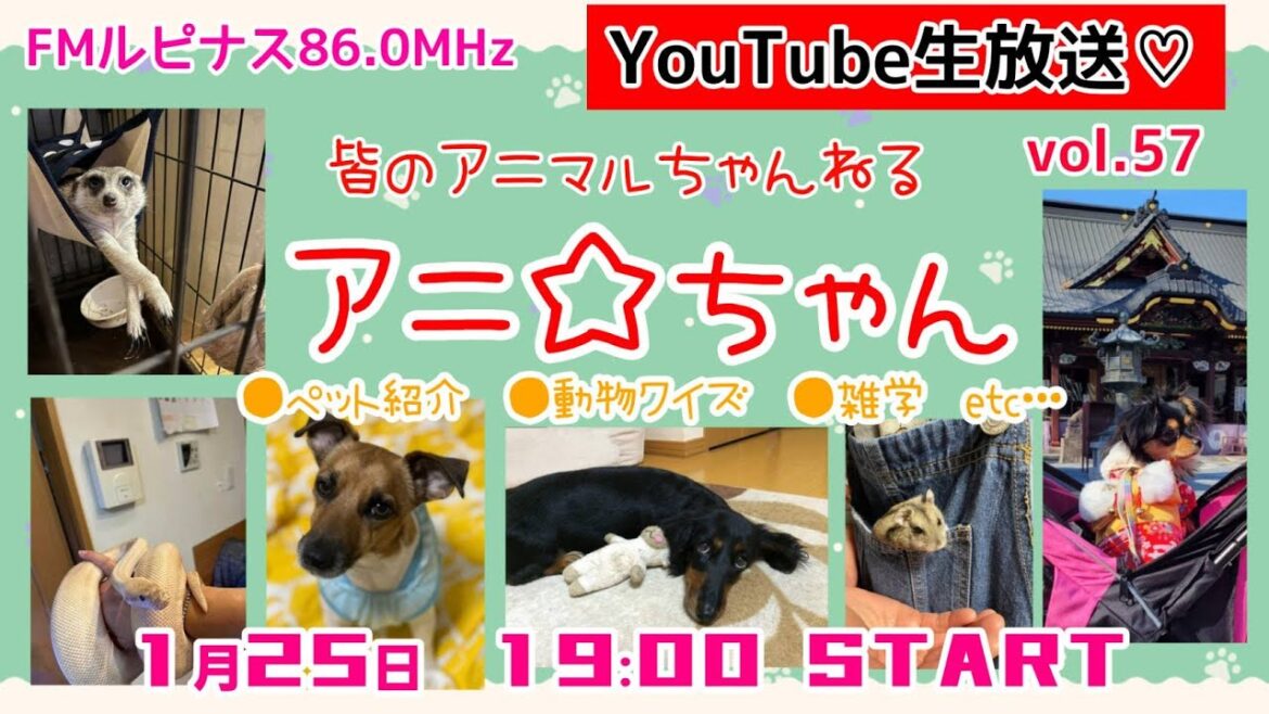 アニ☆ちゃん6家族紹介　クイズもあるよ～！　可愛いくて珍しい動物のスライドショー＆生態を知る！　パーソナリティー：動物博士はる　2023/1/25放送19時～