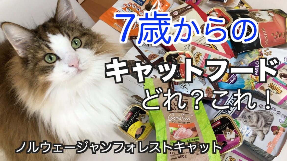 ７歳からのキャットフードはどれ？これ！【ノルウェージャンフォレストキャット５匹と暮らす】