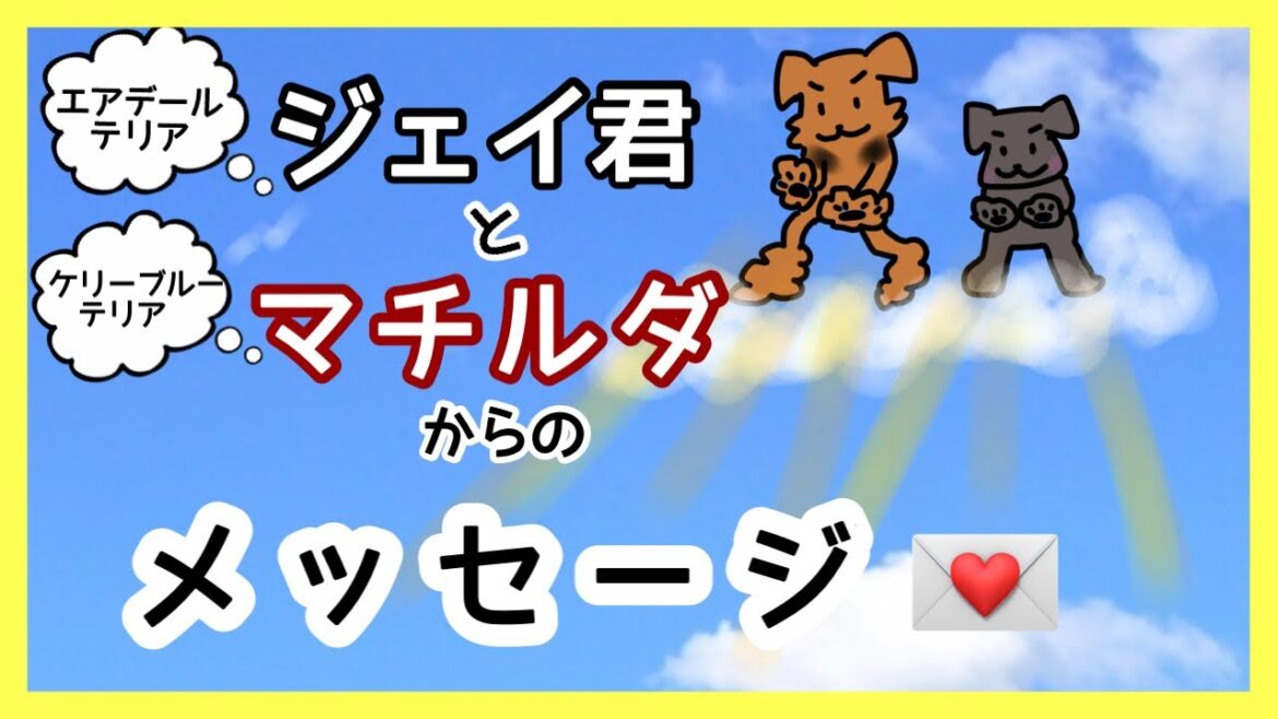 ドッグヘブンのふたりからのメッセージ。今を楽しまなくちゃ！！