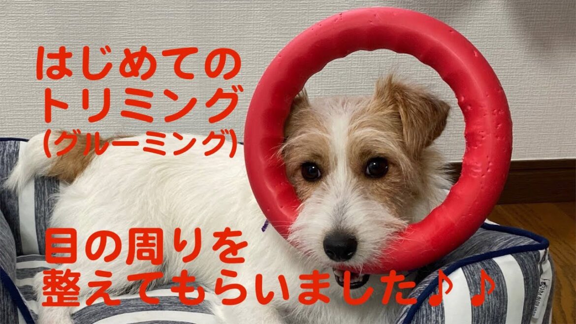 はじめてのカットサロン♪ドキドキ！！