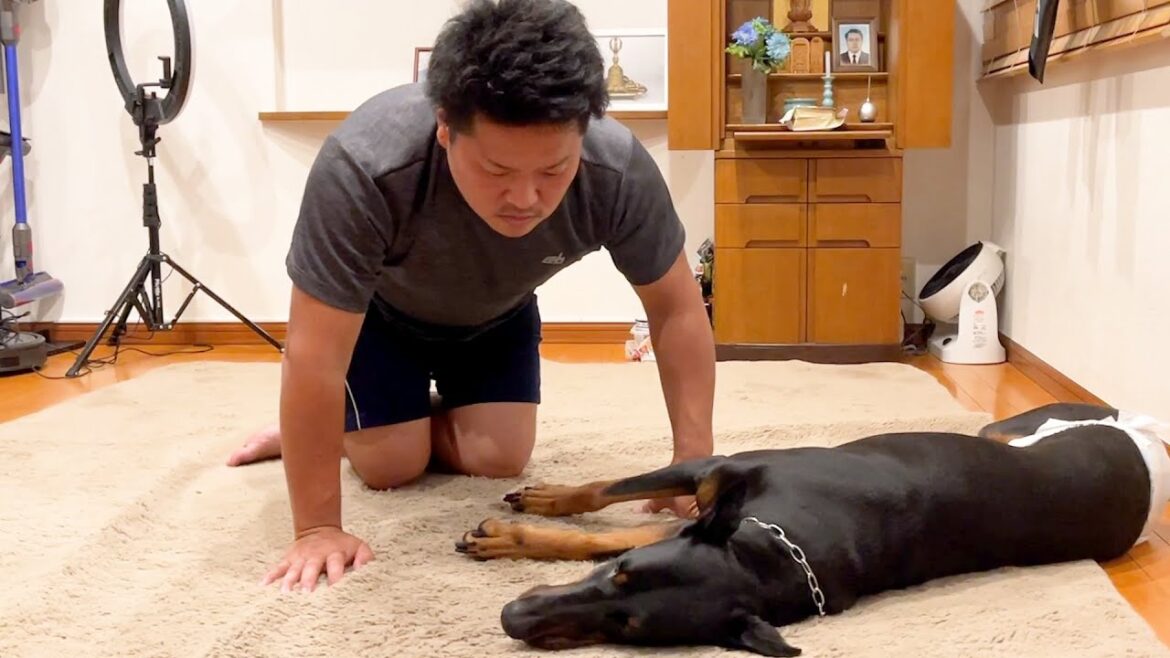 体調が悪いドーベルマン