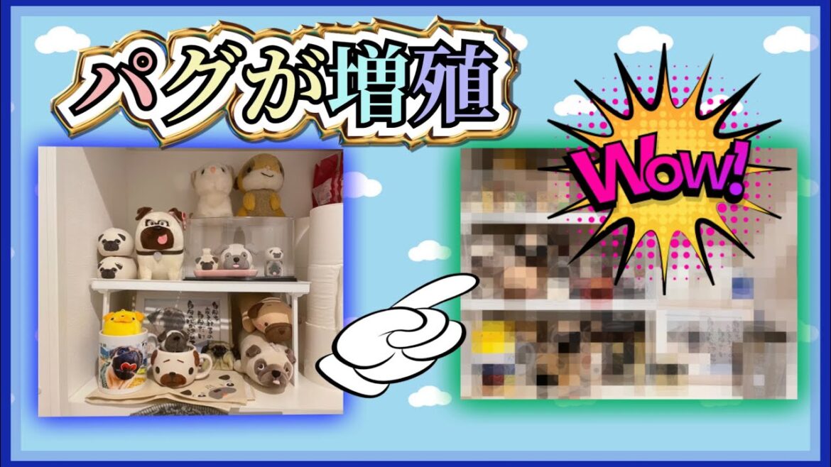 【Wowビックリ】トイレにパグがいっぱい