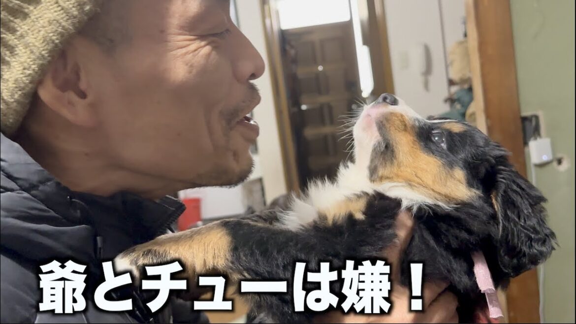 爺とちゅーは嫌！