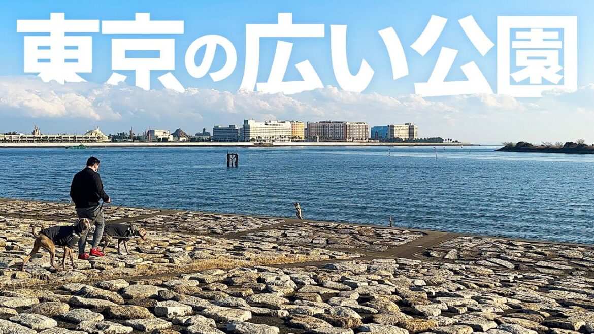 週末でもゆっくり歩ける穴場？！東京にある広すぎる公園を大型犬2匹とお散歩してみた！