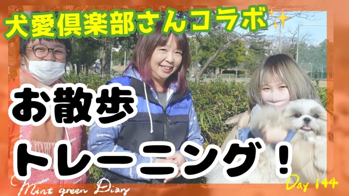 【シーズー 】超的確な散歩トレーニング！犬愛倶楽部さんに子犬とママを指導していただきました！【144日目】