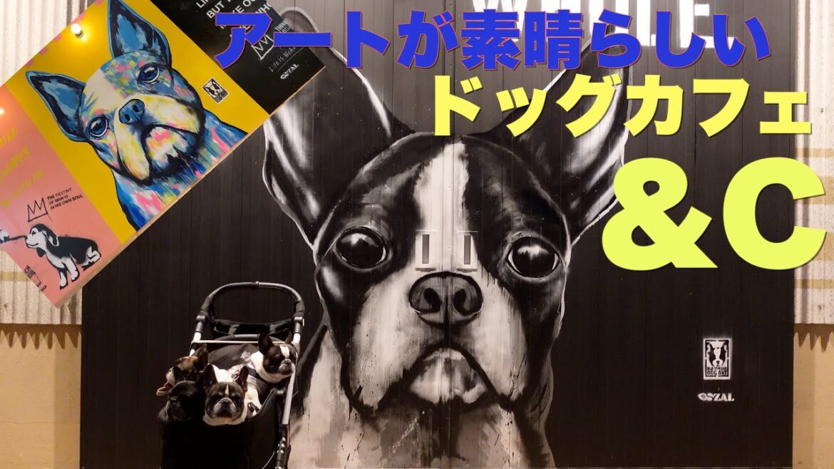 ボストンテリア と フレブル アートが素晴らしい【 フレンチブルドッグ french_bulldog 】 ドッグカフェ &C